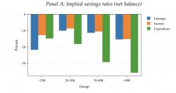 The Distributional Impact of the Pandemic